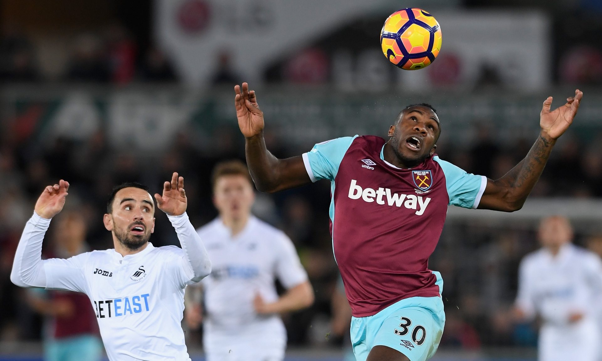 在与意大利 在与意大利